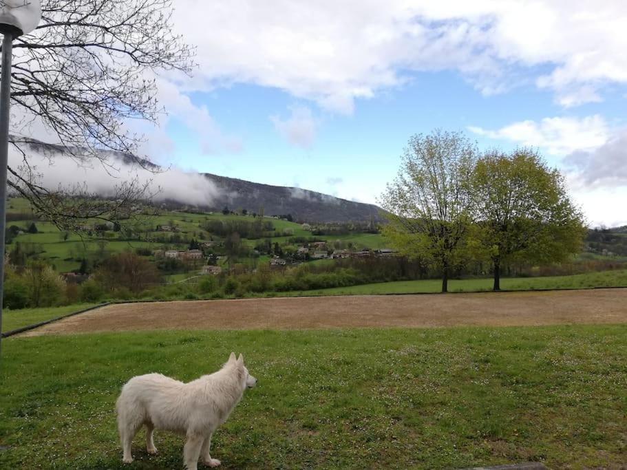 Logement Standing Wifi Vercors 'In Saint-Jean-en-Royans Exterior foto